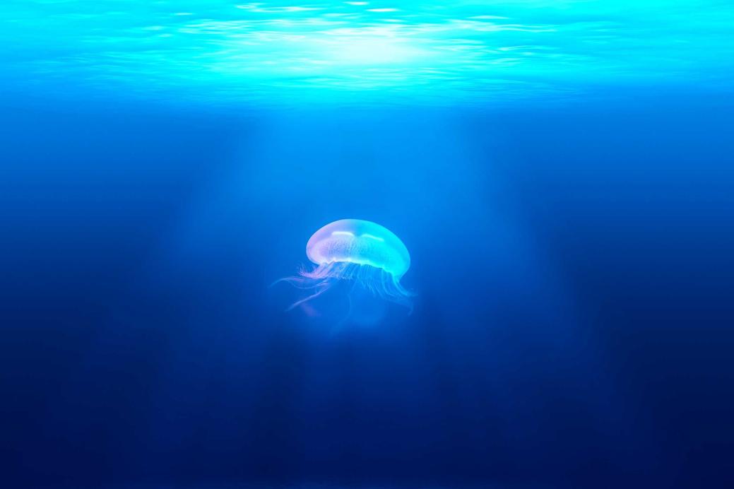 Soluta doloremque aperiam nemo voluptas qui ab